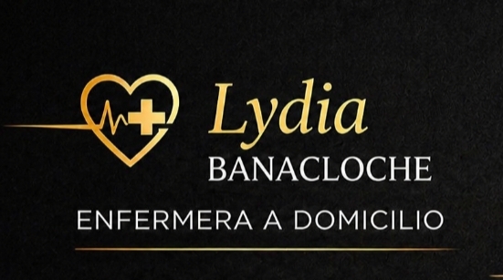 logo Lydia enfermera a domicilio