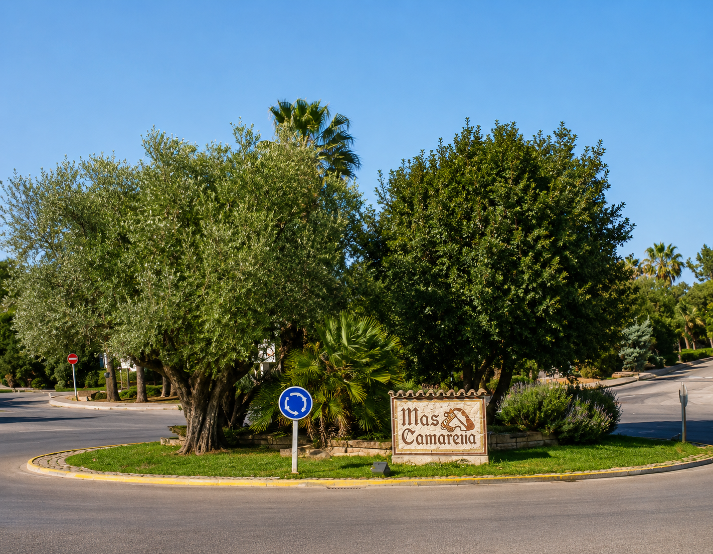 mas camarena municipio