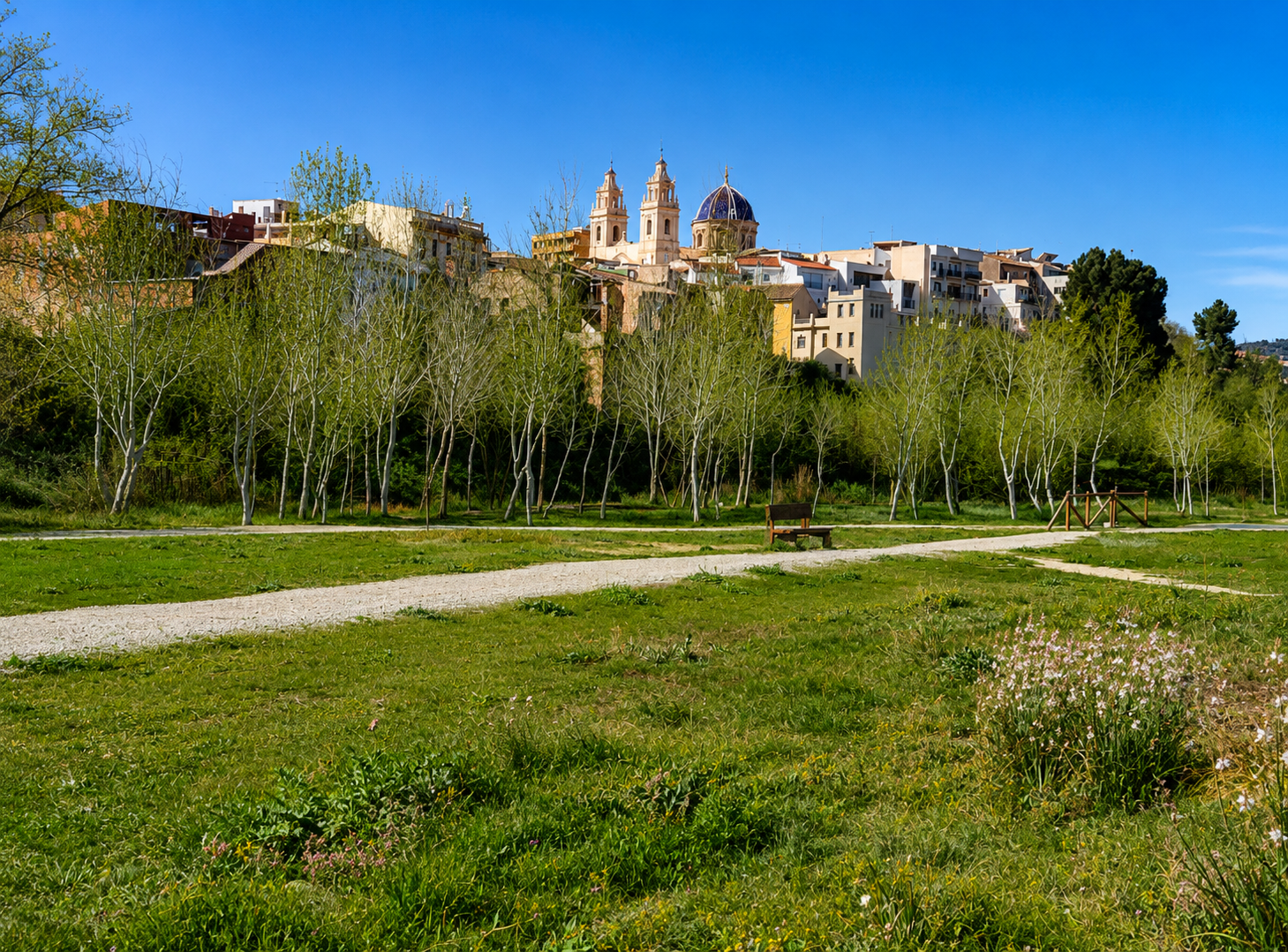 ribaroja municipio
